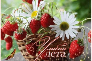 Порода кошек, подходящая вам по знаку Зодиака(От Пчёлки)