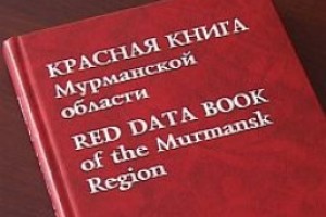 Продолжается работа по подготовке второго издания Красной книги Мурманской области