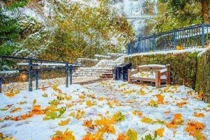 ПЕРВЫЙ СНЕГ - поэт-песенник Александр Шандр.