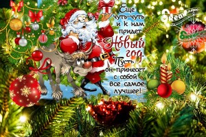 Какие знаки Зодиака самые везучие в 2019 году?(От Пчёлки)