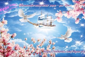 Размышления о дружбе