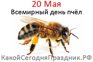 Всемирный день пчёл