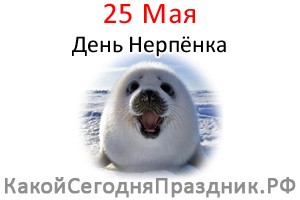День нерпёнка