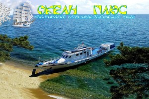 Очищаю лицо содой: как она действует, мои выводы при регулярном использовании(От Пчёлке)