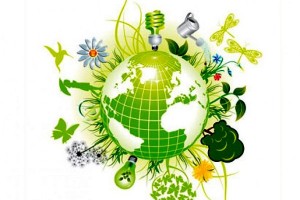 22 мая Международный день биологического разнообразия.