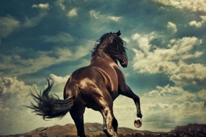 Брюс Спрингстин выпустил альбом и клип «Western Stars»