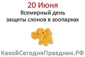 Всемирный день защиты слонов в зоопарках