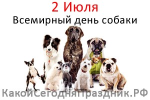 Всемирный день собаки