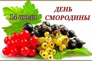 День смородины