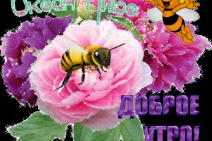 Знаки зодиака. Овен(От Пчёлки)