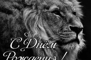 С ДНЕМ РОЖДЕНИЯ LION