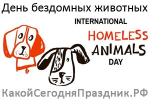 Всемирный день бездомных животных