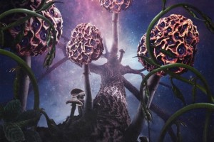 BLUT AUS NORD выпустят альбом ‘Hallucinogen’ в октябре!