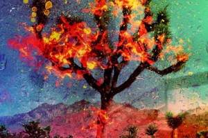 MARILLION выпускают подарочное переиздание альбома ‘Afraid Of Sunlight’!!!!!!!!!!!!!!!!!!!!