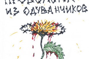Рецензия: Алёна Швец - «Проволока из одуванчиков»