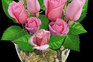 Пять самых искренних и открытых знаков зодиака \(От Пчёлки)