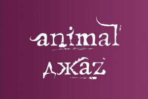 Animal Jazz подобрали «Ключи» ко «Времени любить»