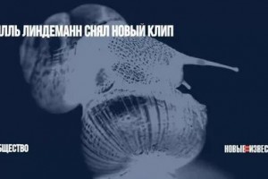 Фронтмен группы Rammstein опубликовал клип Ich weiß es nicht, созданный с помощью нейросетей