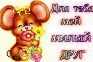 Эти три знака зодиака никогда не согласятся на обычное сожительство (От Пчёлки)