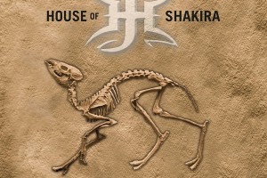Экс-басист ROYAL HUNT выпустил новый альбом с HOUSE OF SHAKIRA!!!!!!!!!!!!!!!!!!!