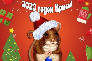 С НОВЫМ 2020 годом!!!!