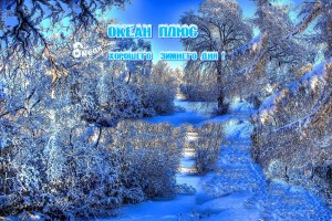 С 27 января – 17 февраля: Василиса Володина прогнозирует судьбоносные перемены четырем знакам Зодиака(От Пчёлки)