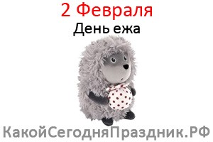 День ежа