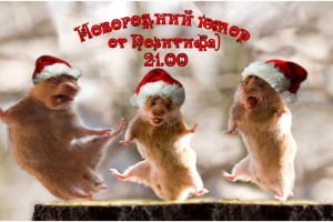 Новогодние анекдоты а так же новогодний юмор!!!