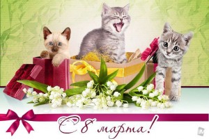 С теплым и ясным праздником, с 8 Марта!