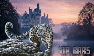 vipbars