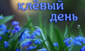 клёвый день