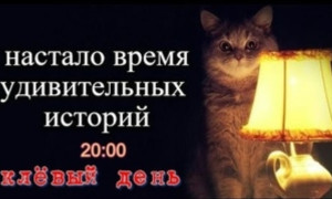 клёвый день