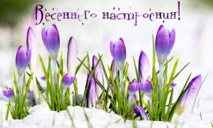 клёвый день