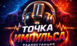 Точка импульса