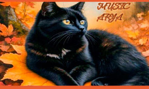 Music-arya