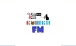 Кошки FM v2