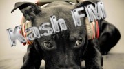 Listen to radio Kash FM