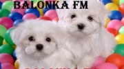 Слушать радио BALONKA FM