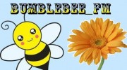 Listen to radio Bumblebee_FM