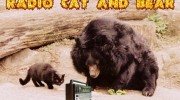 Слушать радио Радио Кота и Медведя