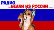 Слушать радио Белки из России