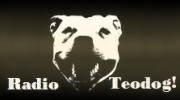 Listen to radio TEODOG!