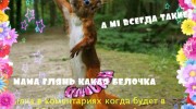 Listen to radio Рыжие коты