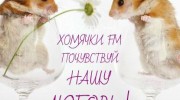 Listen to radio ХоМяЧкИ  _  FM