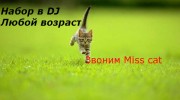 Слушать радио Лапкины fm