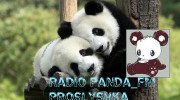 Слушать радио Radio Panda_Fm