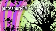 Listen to radio entaanur-fm-radio