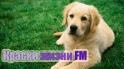 Listen to radio Краски жизни FM