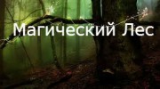 Listen to radio Магический лес