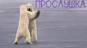 Слушать радио Tанцы_Шманцы